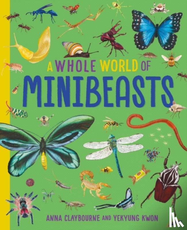 Claybourne, Anna - A Whole World of...: Minibeasts