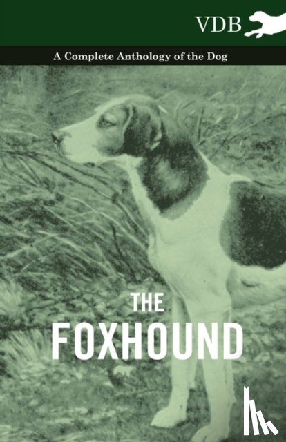 Various (selected by the Federation of Children's Book Groups) - The Foxhound - A Complete Anthology of the Dog