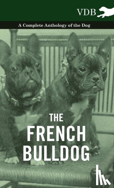 Various (selected by the Federation of Children's Book Groups) - The French BullDog A Complete Anthology of the Dog