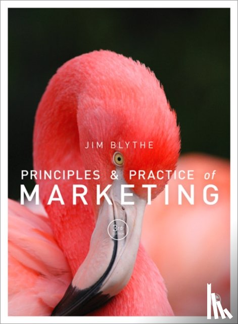 Blythe - Principles and Practice of Marketing