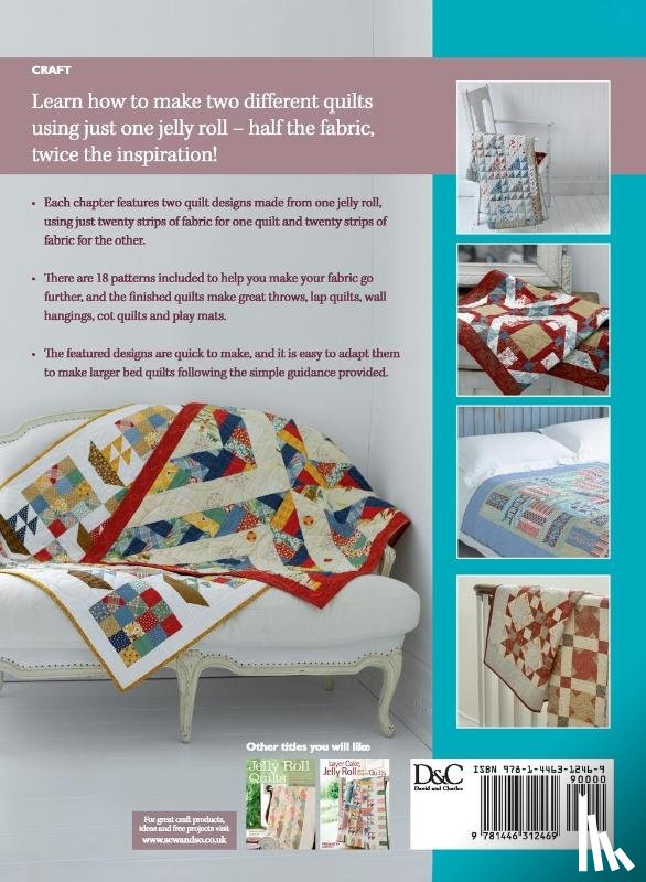Lintott, Nicky, Lintott, Pam (Author) - Two from One Jelly Roll Quilts