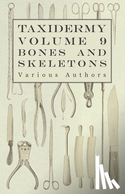 Various (selected by the Federation of Children's Book Groups) - Taxidermy Vol.9 Bones and Skeletons - The Collection, Preparation and Mounting of Bones