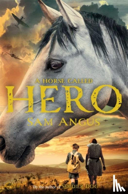 Angus, Sam - A Horse Called Hero