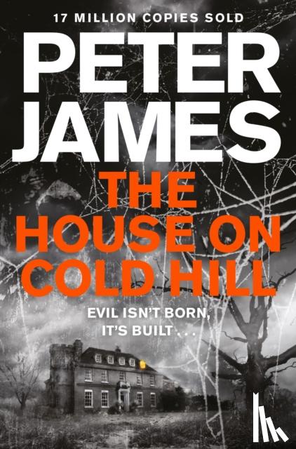 James, Peter - The House on Cold Hill