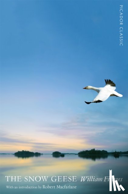 Fiennes, William - The Snow Geese