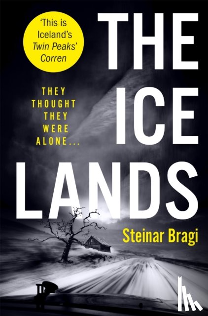 Bragi, Steinar - The Ice Lands