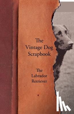 Various - The Vintage Dog Scrapbook - The Labrador Retriever