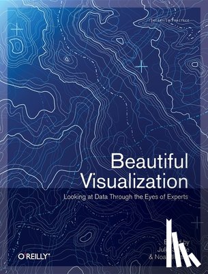 Steele, Julie - Beautiful Visualization : Looking At Data Through The Eyes Of Experts