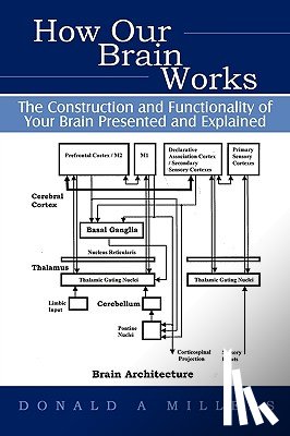 Donald Millers - How Our Brain Works