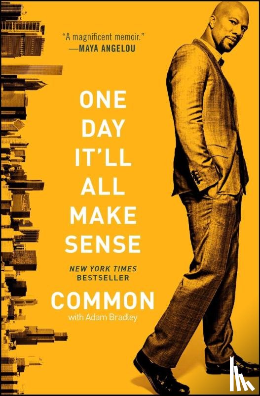 Common - One Day It'll All Make Sense