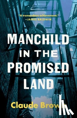 Brown, Claude - Manchild in the Promised Land