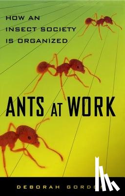 Gordon, Deborah - Ants At Work