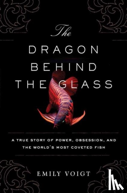 Voigt, Emily - The Dragon Behind the Glass