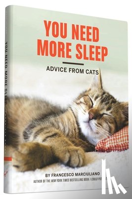 Marciuliano, Francesco - You Need More Sleep