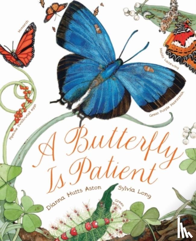 Hutts Aston, Dianna - A Butterfly Is Patient