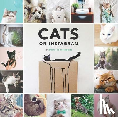 @cats_of_instagram - Cats On Instagram