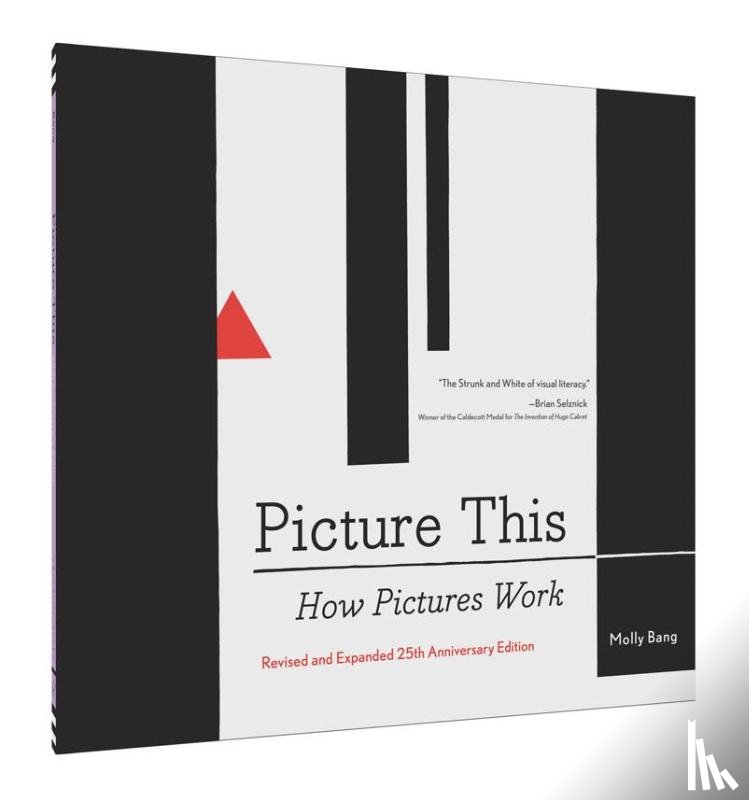 - Picture This: How Pictures Work