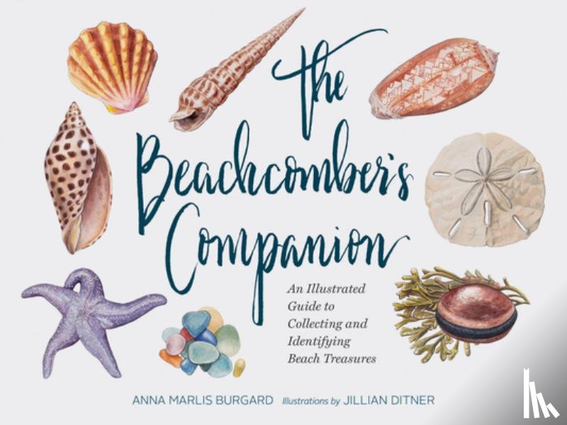 Dittner, Jillian - Beachcomber's Companion