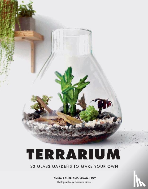 Bauer, Anna, Levy, Noan - Terrarium