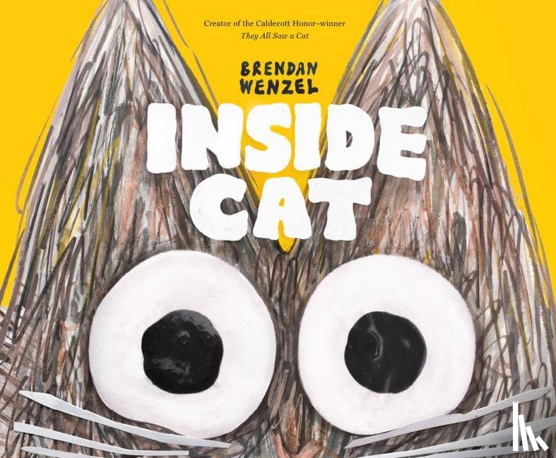  - Inside Cat