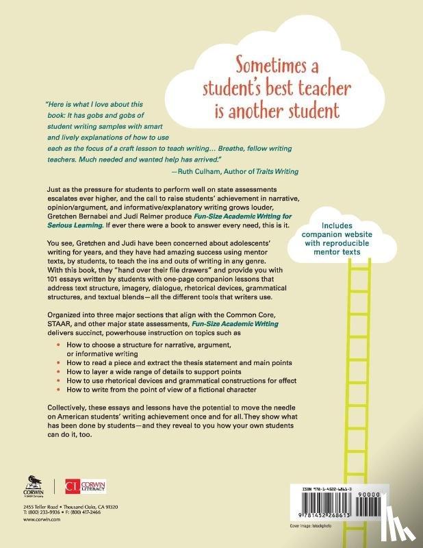 Bernabei, Gretchen, Reimer, Judith A. - Fun-Size Academic Writing for Serious Learning