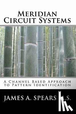 Spears M. S., James A. - Meridian Circuit Systems: A Channel Based Approach to Pattern Identification