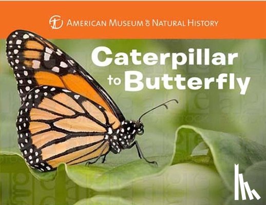 American Museum of Natural History, Stewart, Melissa - Caterpillar to Butterfly