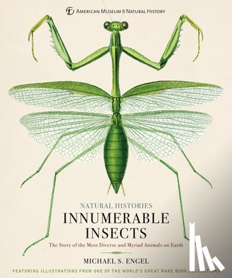 Engel, Michael S. - Innumerable Insects