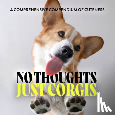 Union Square & Co. - No Thoughts Just Corgis