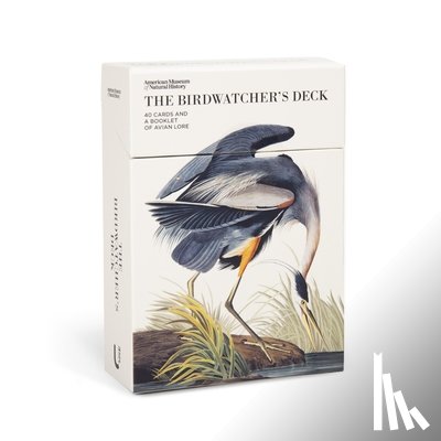 American Museum of Natural History - The Birdwatcher's Deck