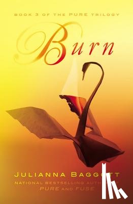 Baggott, Julianna - Burn