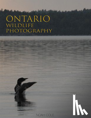 Cole, Noah - Ontario Wildlife Photography