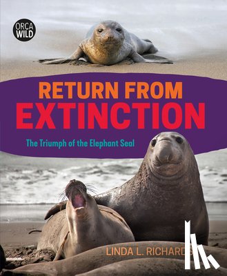 Richards, Linda L. - Return from Extinction: The Triumph of the Elephant Seal