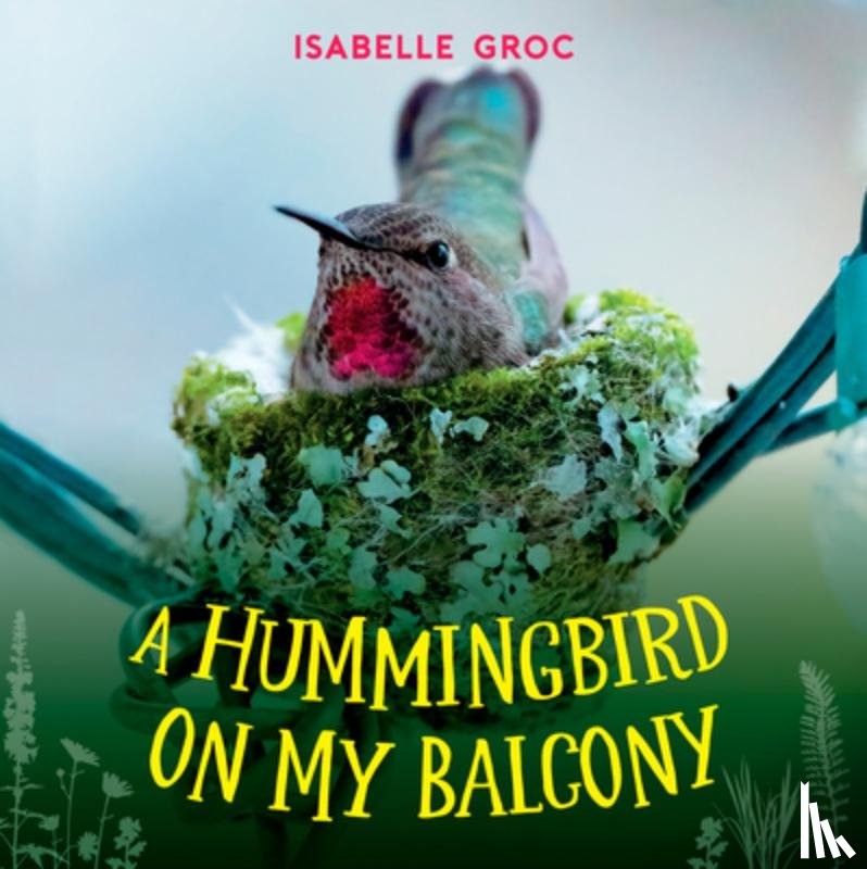 Groc, Isabelle - A Hummingbird on My Balcony