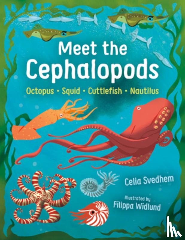 Svedhem, Celia - Meet the Cephalopods: Octopus, Squid, Cuttlefish, Nautilus