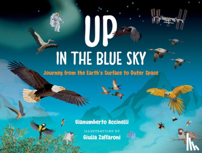 Accinelli, Gianumberto - Up in the Blue Sky: Journey from the Earth's Surface to Outer Space