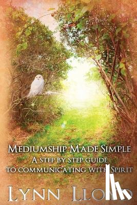 Lloyd M. a. Ed, Lynn - Mediumship Made Simple: A Step by Step Guide to Connecting With Spirit