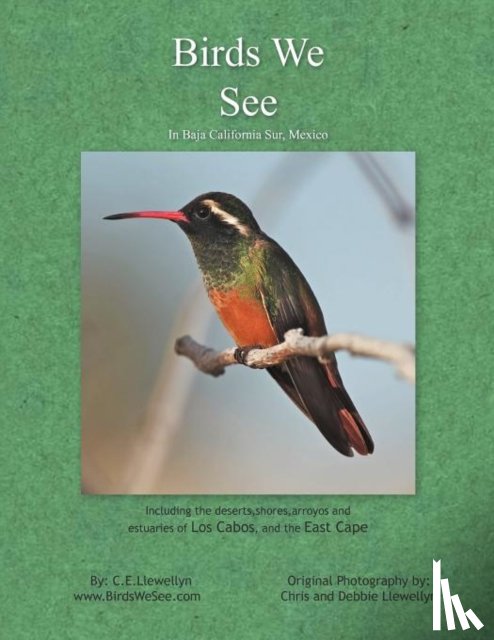 Llewellyn, C E - Birds We See