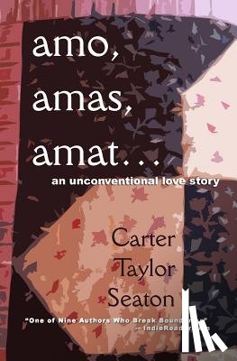 Seaton, Carter Taylor - amo, amas, amat...: An Unconventional Love Story