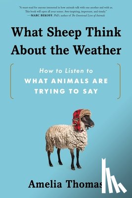 Thomas, Amelia - What Sheep Think about the Weather: How to Listen to What Animals Are Trying to Say