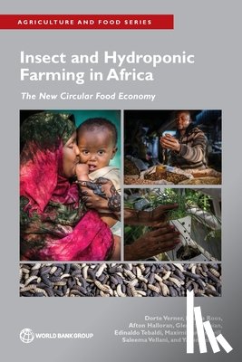 Verner, Dorte, Roos, Nanna, Halloran, Afton, Surabian, Glenn - Insect and Hydroponic Farming in Africa