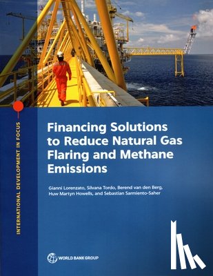 Lorenzato, Gianni, Tordo, Silvana, Berg, Berend van den, Howells, Huw Martyn - Financing Solutions to Reduce Natural Gas Flaring and Methane Emissions
