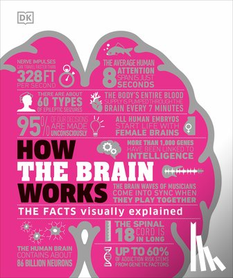 DK - How the Brain Works