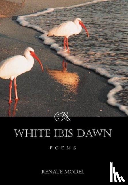 Model, Renate - White Ibis Dawn