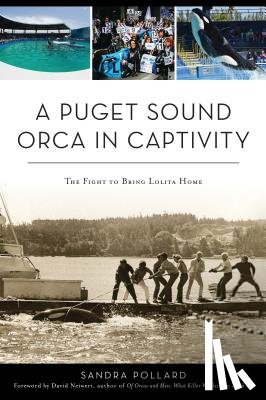 Pollard, Sandra - A Puget Sound Orca in Captivity: The Fight to Bring Lolita Home