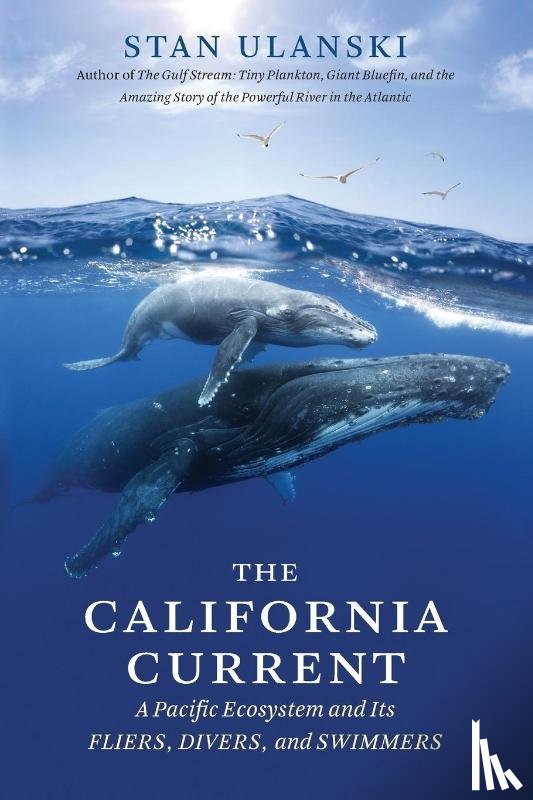 Ulanski, Stan - The California Current