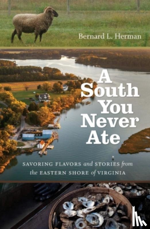Herman, Bernard L. - A South You Never Ate