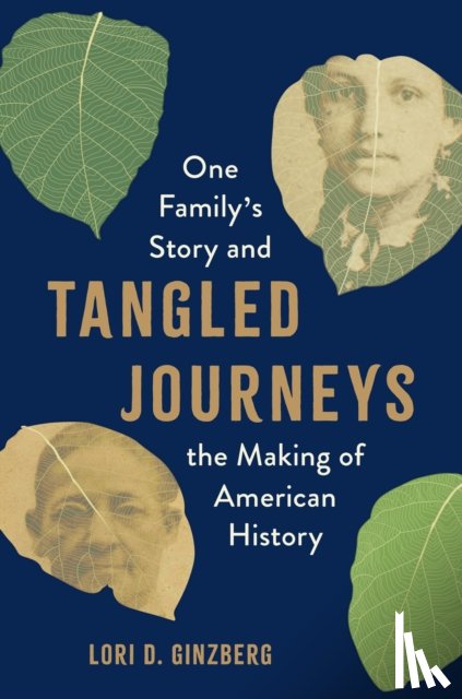 Ginzberg, Lori D. - Tangled Journeys