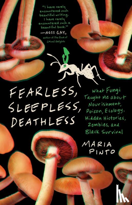 Pinto, Maria - Fearless, Sleepless, Deathless