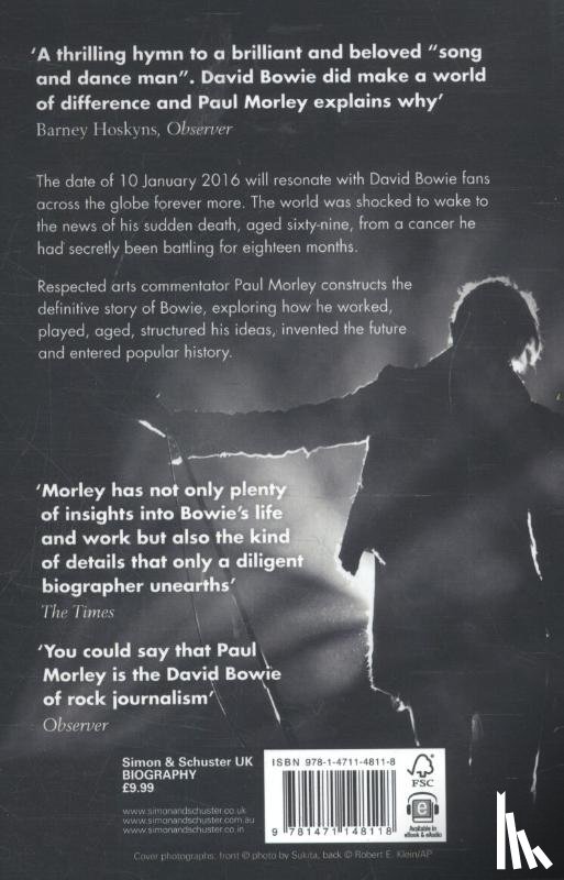 Morley, Paul - The Age of Bowie